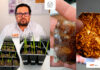 Patenta la UAT bioplásticos que recuperan suelos erosionados