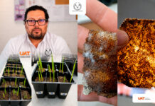 Patenta la UAT bioplásticos que recuperan suelos erosionados